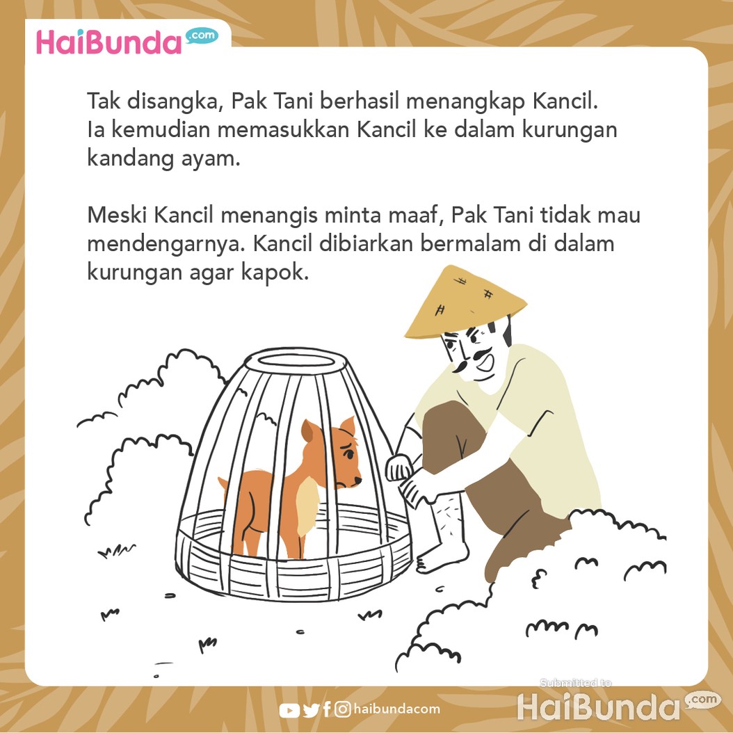 Cerita Nusantara Kancil dan Anjing
