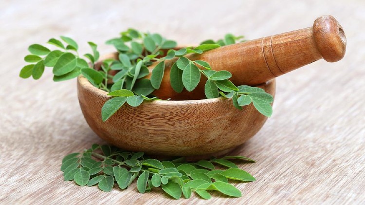 Daun Kelor