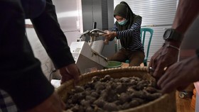 Dorong Kebangkitan UMKM, Pemerintah Optimalkan Penyaluran KUR