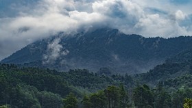 Di Titik Hulu Taman Gunung Pangrango dan Asa Abadi dari Ambarjaya