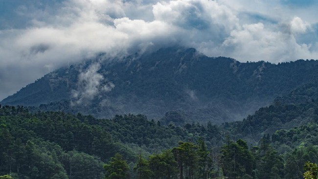 Trek Pendakian Gunung Pangrango Diistirahatkan Hingga April Akibat Cuaca Buruk