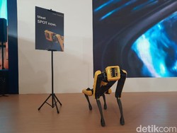 Berkenalan dengan Spot, Siluman Anjing Peliharaan Hyundai