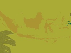 Sederet Upaya Tokopedia Dorong Digitalisasi hingga ke Papua
