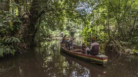Ekosistem dan Hutan Rawa Benin Terancam Punah