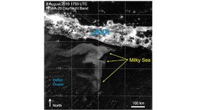 Misteri Laut Jawa Bercahaya Belum Terjawab Total oleh Sains
