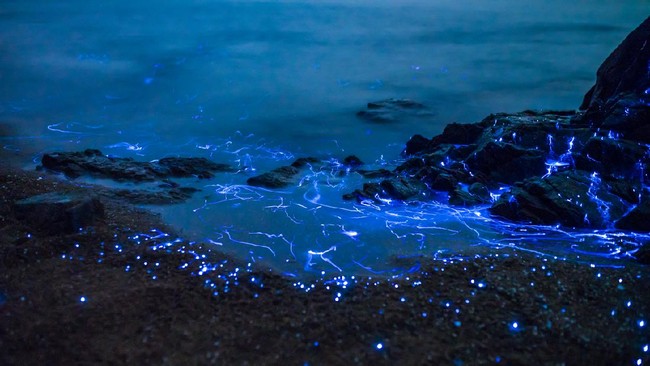 Foto satelit berhasil menangkap fenomena langka laut bercahaya di malam hari di selatan Jawa yang masih menyisakan misteri yang belum terjawab secara sains.