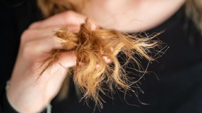 Tidak hanya toko yang bisa buka cabang, rambut pun demikian. Saat diperhatikan, rambut terbelah sehingga helainya jadi tipis dan rapuh.