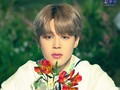 Jimin BTS Diam-diam Donasi Rp1,2 Miliar untuk Vaksin Polio