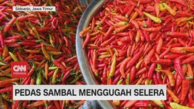 VIDEO: Sehari Menjadi Pembuat Sambal