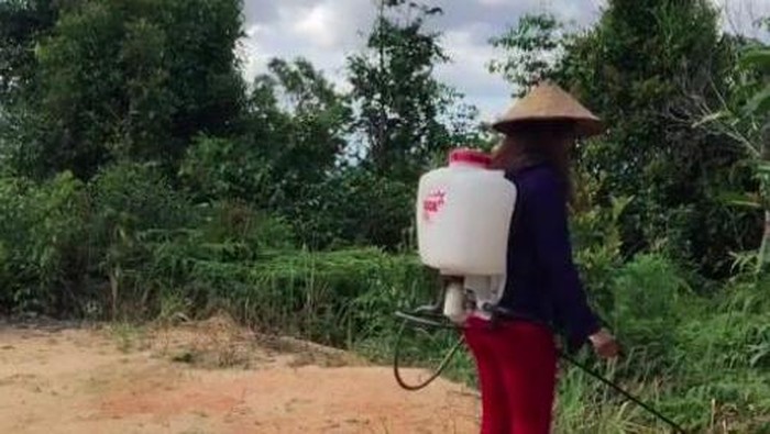 Viral Isolasi Mandiri di Rumah Kayu