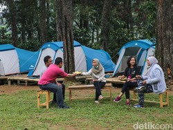 7 Kegiatan Seru di Hutan Hujan Sentul, Mulai dari Ngopi sampai Trekking