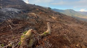 Taman Nasional Bromo Semeru Buka Suara Soal Proyek Wisata