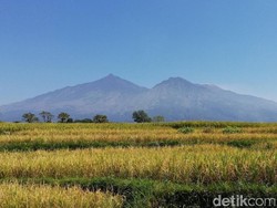 Hati-hati Kalau ke Sini, Ngomong Sembarangan Bisa Hilang!