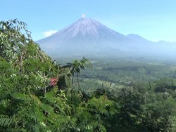Gunung Semeru Kembali Luncurkan Guguran Lava Pijar, Kali Ini Sejauh 2 KM