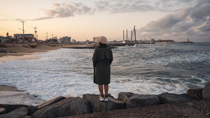 Wilayah Indonesia Terancam Tsunami Raksasa, BMKG Ingatkan Hal Ini