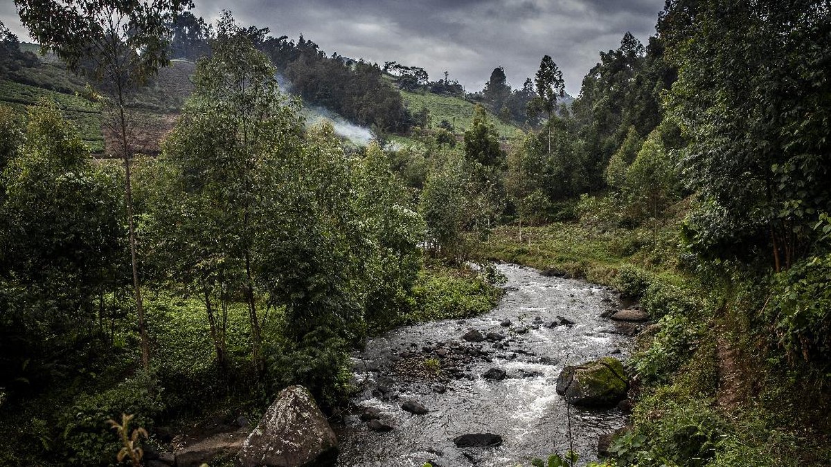 FOTO: Para 'Mancing Mania' di Sungai Kenya