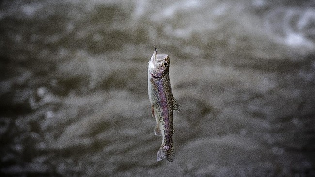 FOTO: Para 'Mancing Mania' di Sungai Kenya
