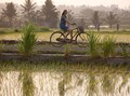 7 Rute Wisata 'Healing' ala 'Eat, Pray, Love' di Bali
