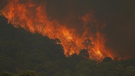 FOTO: Si Jago Merah Mengamuk Hanguskan Hutan Spanyol