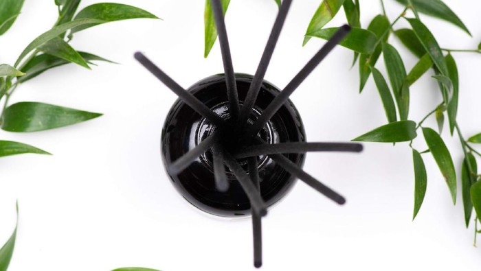 Mengenal Home of Humans, Pewangi Ruangan  yang Sempat Viral karena Sering Sold Out