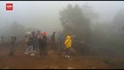 VIDEO: Kawasan WIsata Dieng Kembali Dibuka