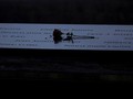 FOTO: Peringatan 20 Tahun Tragedi 11 September