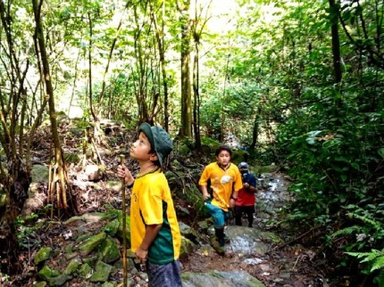 5 Rekomendasi Tempat Trekking Ramah Anak, Sentul hingga Gunung Pancar