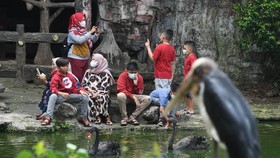 3.385 Kasus Positif Covid-19 Harian, 185 Orang Meninggal