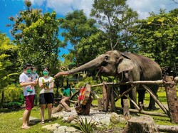 13+ Tempat Wisata Jogja yang Ramah Anak, Cocok untuk Liburan Keluarga