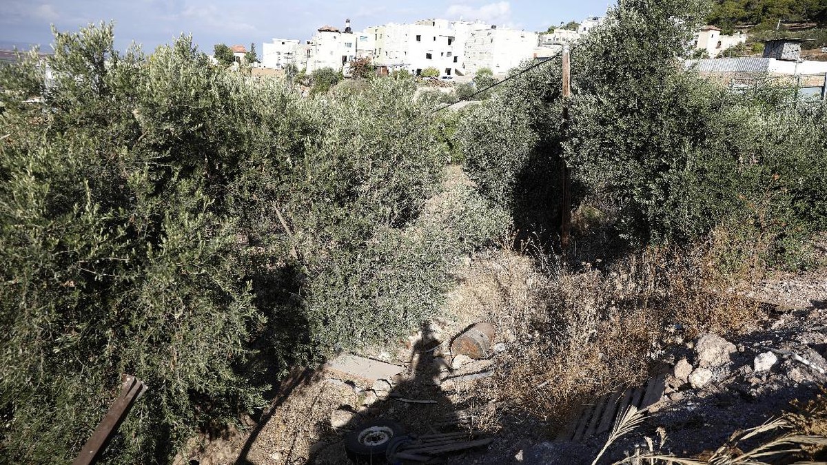 FOTO: Israel Bekuk Tahanan Palestina yang Kabur