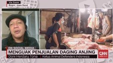 VIDEO: Menguak Penjualan Daging Anjing