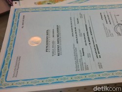 Ini Syarat Urus Akta Kelahiran di Kabupaten Kupang