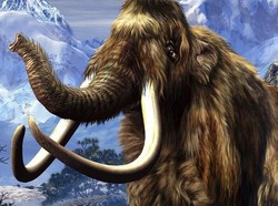 Studi Ungkap Alergi Serbuk Sari Jadi Penyebab Kepunahan Mamut, Kok Bisa?