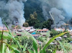 Nakes Gugur Diserang KKB di Papua, Ini Kata Kemenkes
