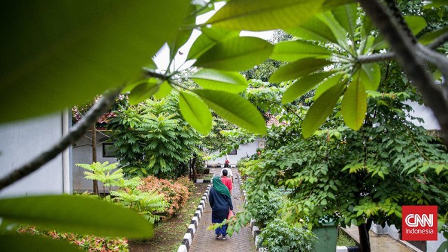 Delapan anak pelaku tawuran maut di Palmerah, Jakbar sementara ini dititipkan sementara di Balai Panasea Jakarta, Cipayung, sambil menunggu proses hukum.