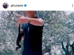 Unggah Pelihara Satwa Dilindungi Owa Siamang, Bupati Badung Bali Dikecam