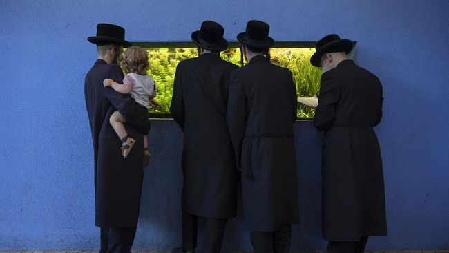 Umat Yahudi Hasidic dari penjuru dunia pergi ke Ukraina setiap tahun untuk berziarah ke makam salah satu tokoh penting Yahudi, yakni Rabbi Nachman.