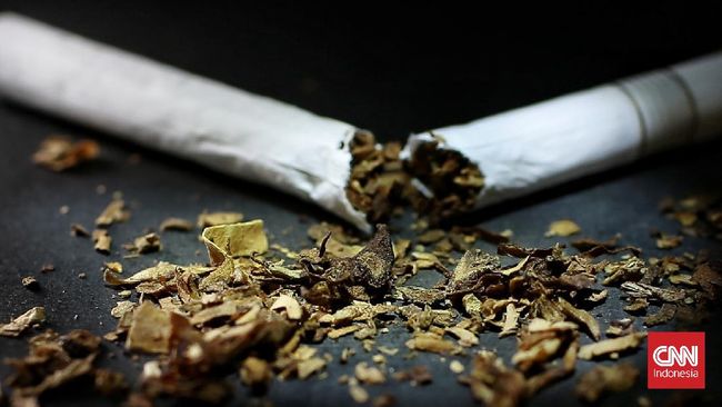 Hari Tanpa Tembakau mengajak masyarakat untuk menyetop kebiasaan merokok. Kisah Sandi dan Ramadhan menjadi contoh mereka yang memilih untuk berhenti merokok.