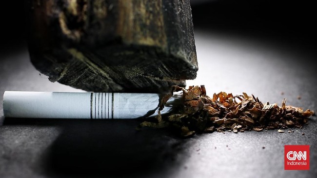 Warga Hisap Rokok Ilegal Bisa Dipenjara 5 Tahun Bea Cukai Jawa Barat mengingatkan ancaman hukuman terkait peredaran rokok ilegal. Bukan cuma produsen dan penjual, pemakai rokok ilegal pun terancam pidana.