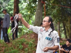 King Kobra Tewaskan Pendiri Sioux Ular Indonesia