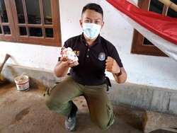 Sarang Ular King Kobra di Sekolah Banyuwangi Berisi 20 Telur Siap Menetas