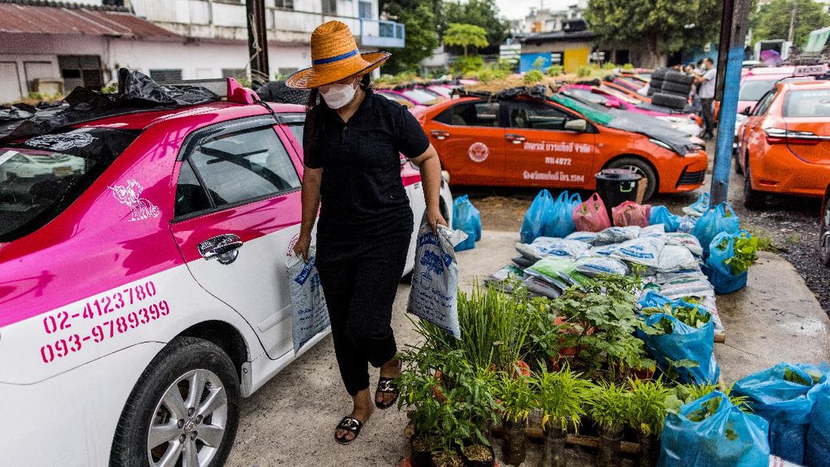 FOTO: Menyulap Kuburan Taksi Bangkok Jadi Kebun Sayur