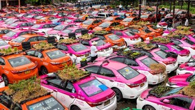 FOTO: Menyulap Kuburan Taksi Bangkok Jadi Kebun Sayur