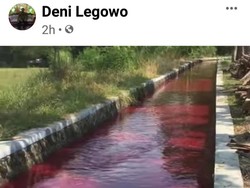 Heboh Air Saluran Irigasi di Klaten Berubah Jadi Merah Darah