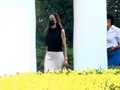 VIDEO: Angelina Jolie Datangi Gedung Putih