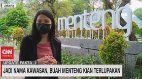 VIDEO: Jadi Nama Kawasan, Buah Menteng Kian Terlupakan
