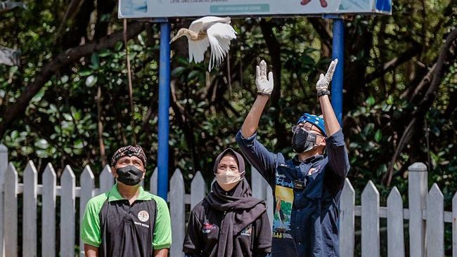 Desa Wisata Kampung Blekok terpilih menjadi 50 desa wisata terbaik dari 70.000 lebih desa wisata. Sandiaga menyebut hal itu akan membuka peluang usaha warga.