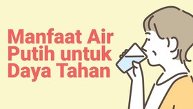 INFOGRAFIS: Manfaat Air Putih untuk Daya Tahan