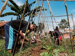 ODGJ Adalah: Gejala, Penyebab, dan Penanganan yang Tepat