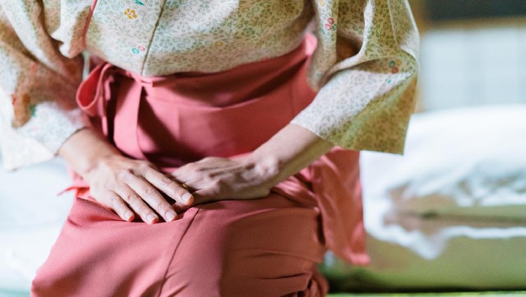 Ilustrasi Adat Jepang 着物を着た日本人女性着物を着た日本人女性